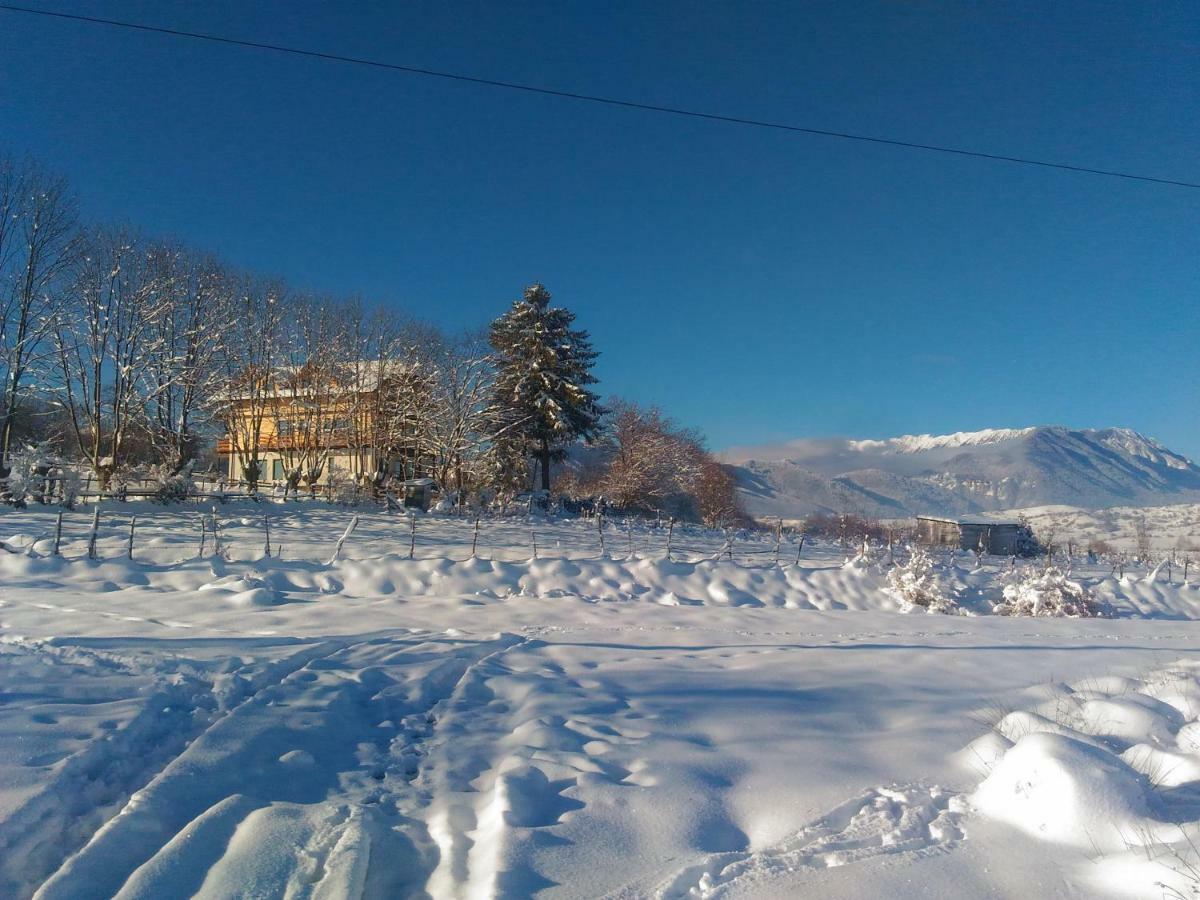Vila Rem Бран Екстер'єр фото